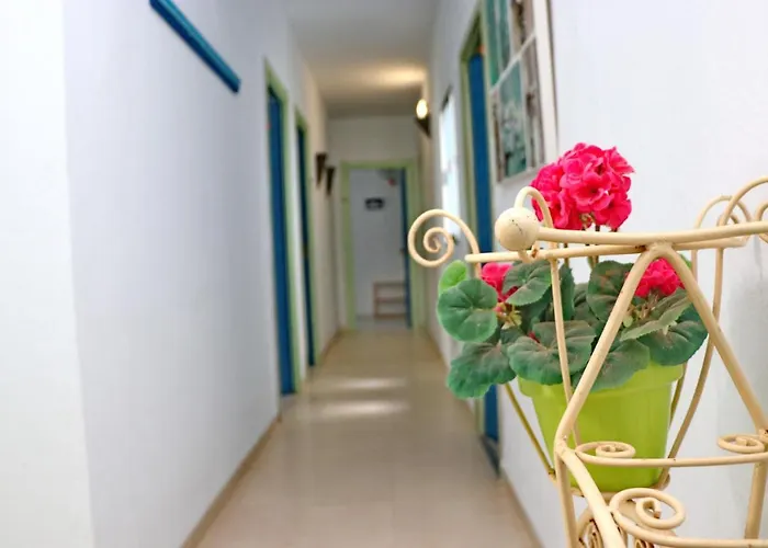 Habitación Cañaveral Playa Conil Iii Casa de hóspedes 4*