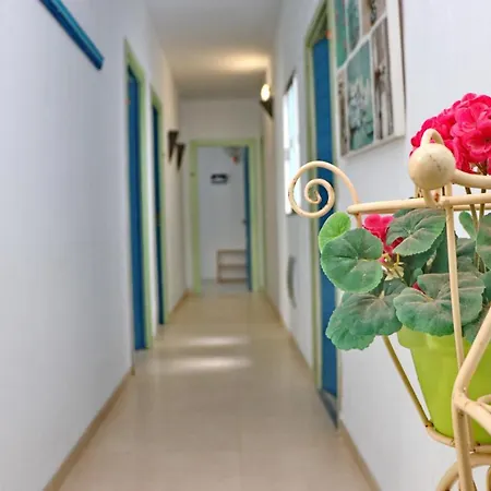 Habitación Cañaveral Playa Conil Iii Casa de hóspedes Conil De La Frontera