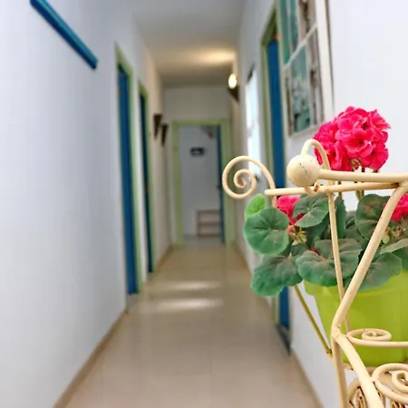 Canaveral Playa Conil Iii Gasthuis 4*