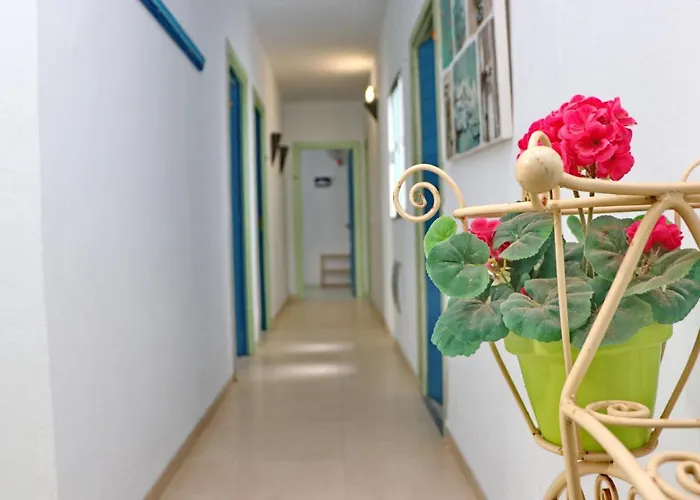 Habitación Cañaveral Playa Conil Iii Pensión Conil De La Frontera